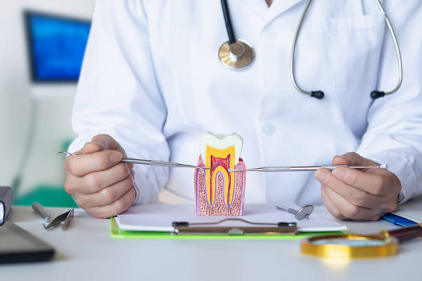Best Emergency Dental Care for Abscessed Tooth in Fraser, CO